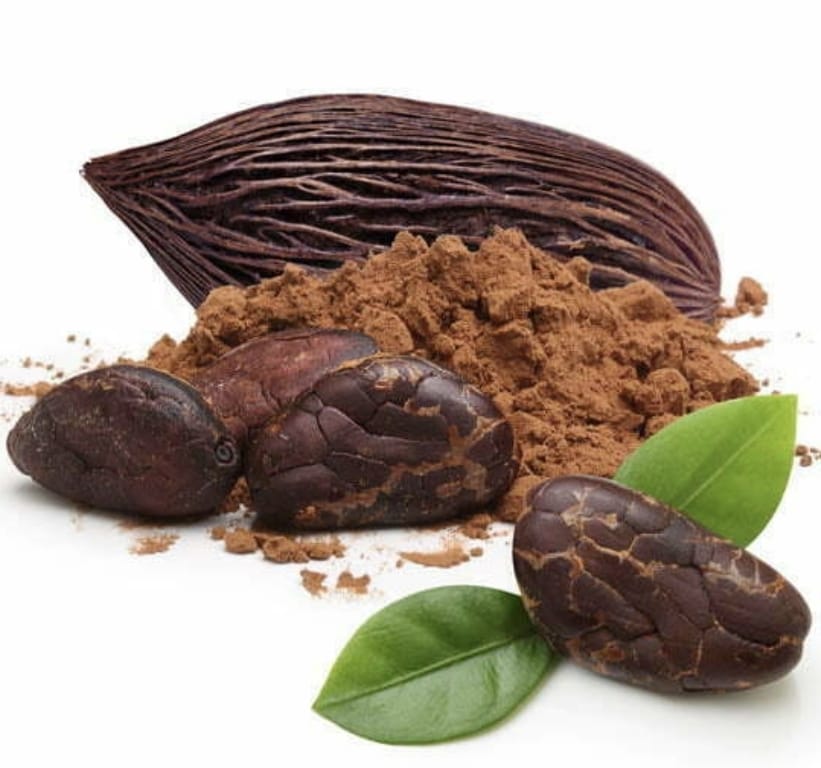 Pack Proteína Vegetal 1 kilo Con Extracto de Cacao + Creatina 100% Pura